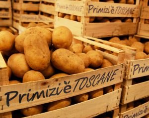 frutta-verdura-mercafir-Firenze