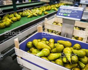 frutta-verdura-mercafir-Firenze
