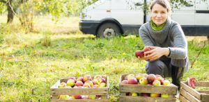 ortofrutta-ingrosso-Firenze-Pistoia-Valdarno